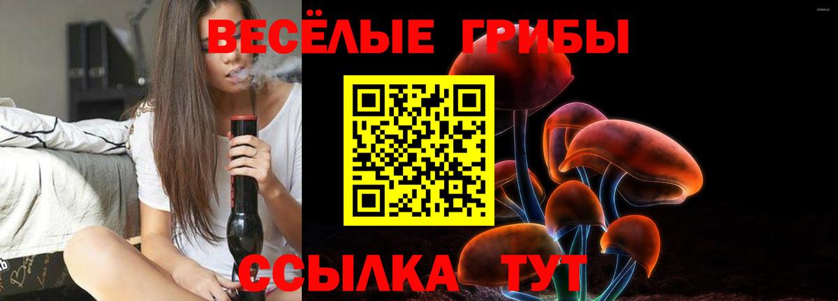 Псилоцибиновые грибы ЛСД Вологда
